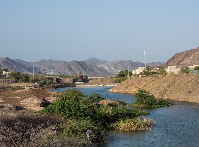 Hatta Swan Lake