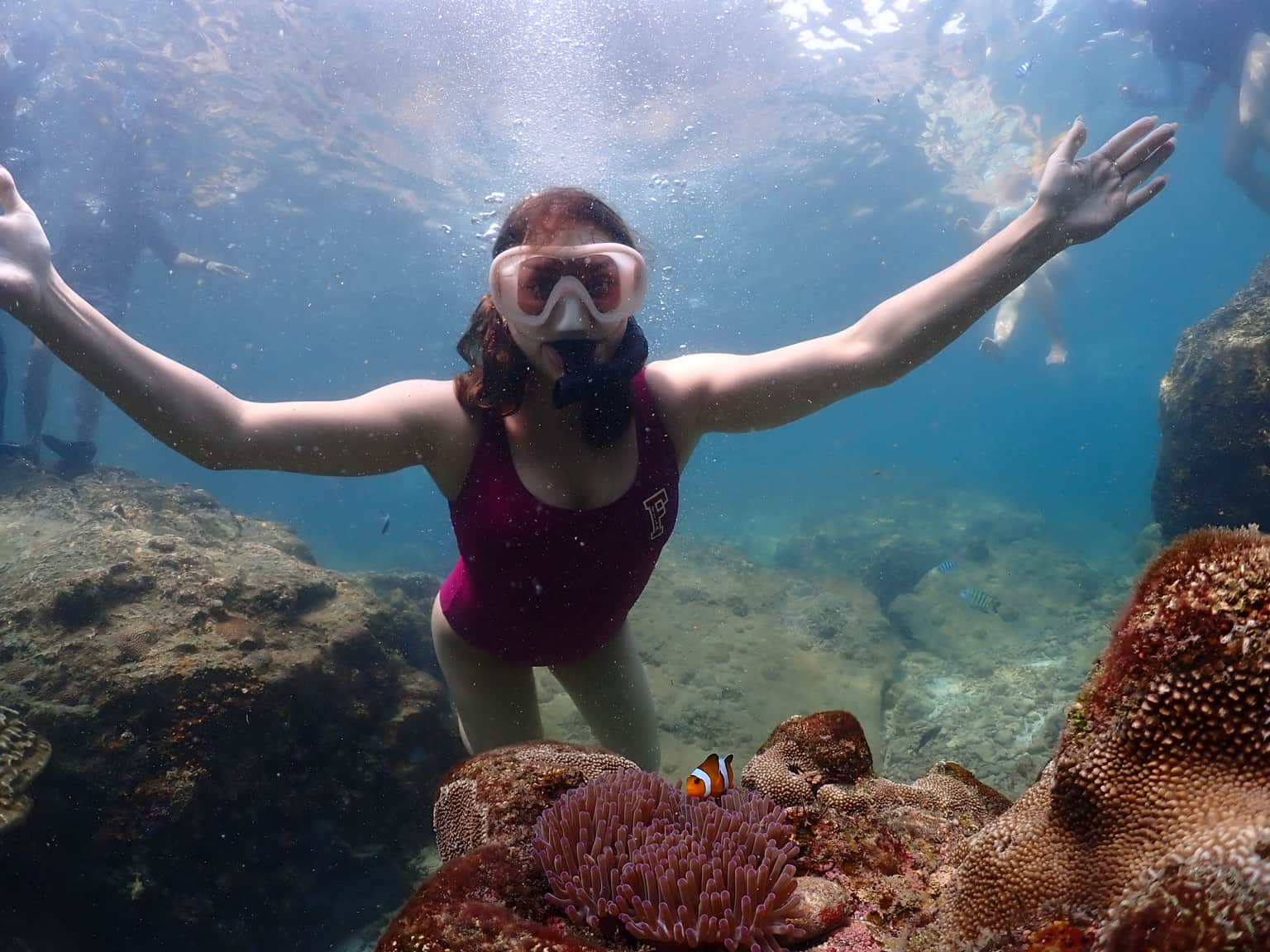 Experiene the Snorkelling adventure