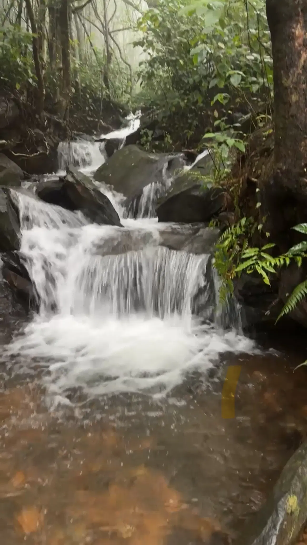 Photo from Madhan n's trip