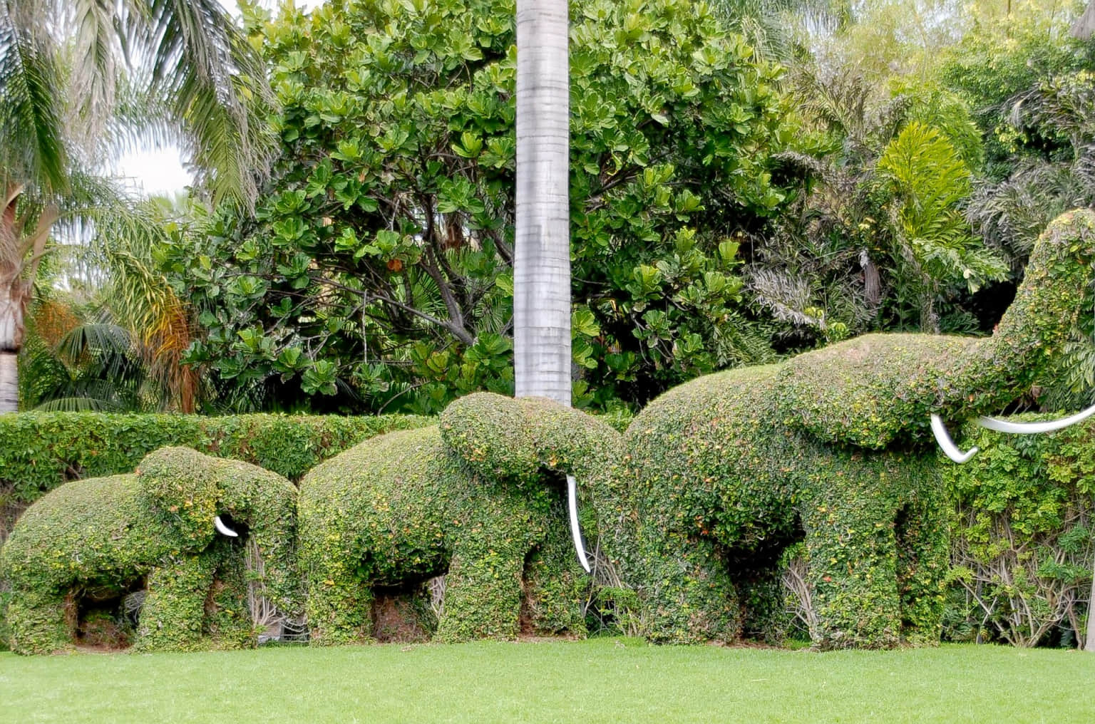 Topiary Park