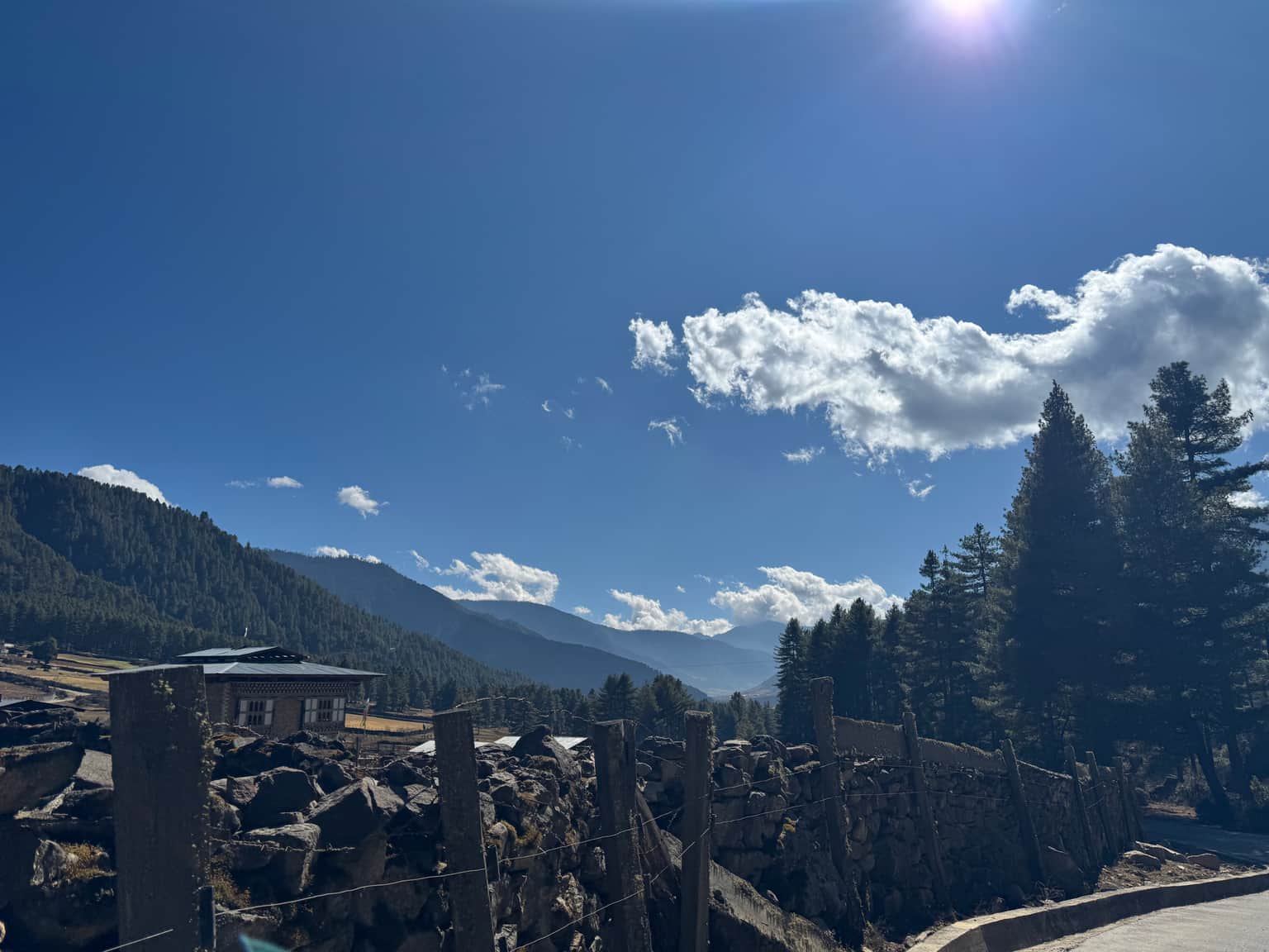 Photo from ronak Sharma's trip