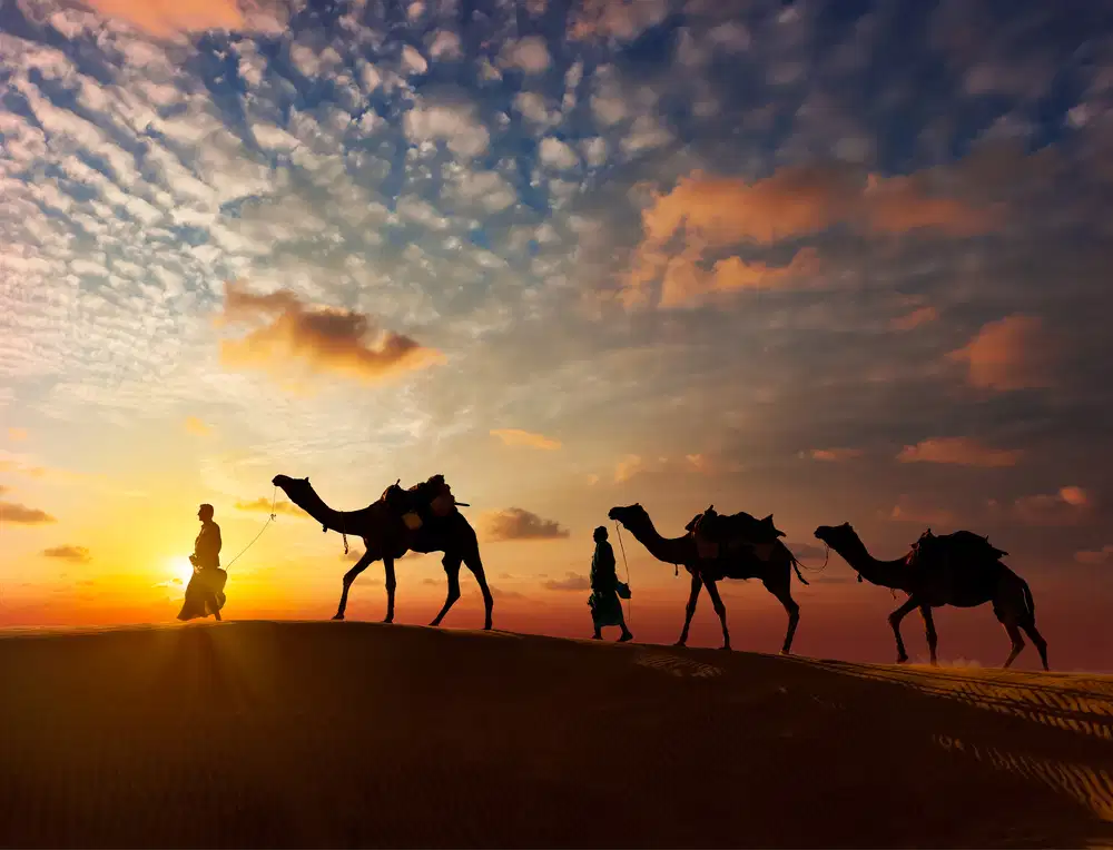 Gems of Jaisalmer & Jodhpur | From Golden Sands To Royal Heritage