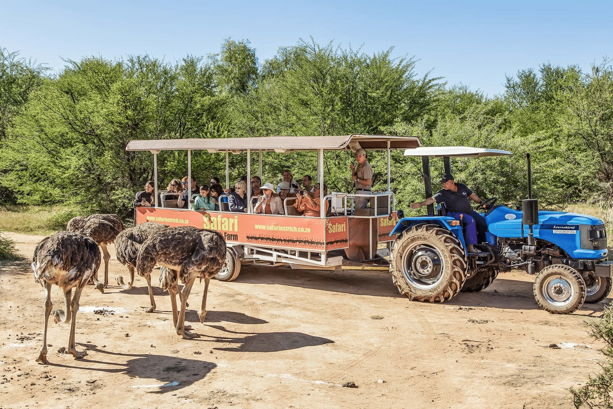 Safari Ostrich Farm Overview