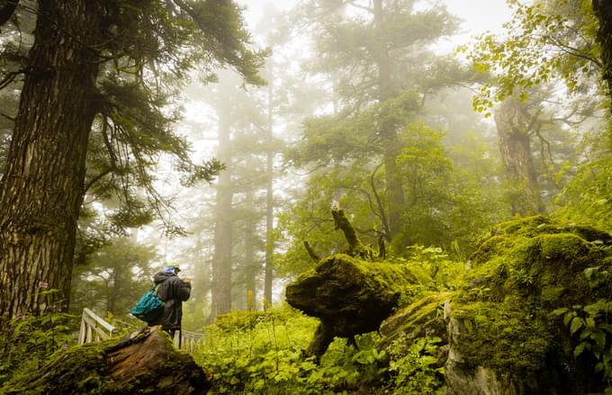 trek to valley of flowers