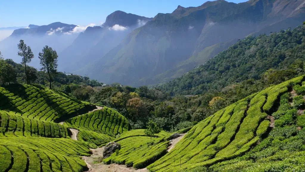 Explore West Serene Sikkim | FREE Mt Kanchenjunga Excursion