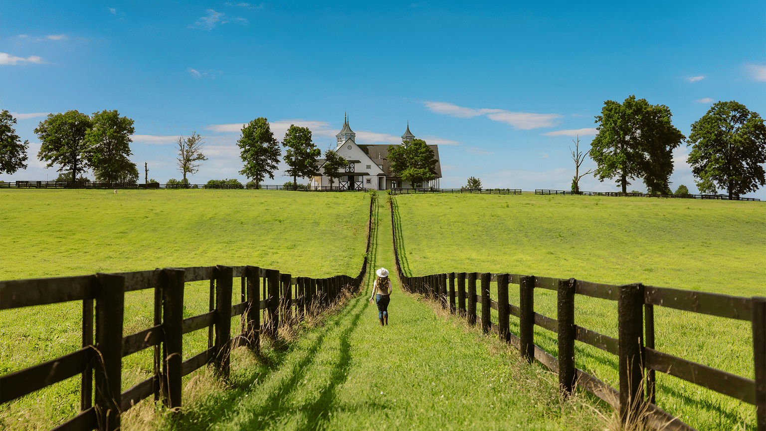 Handpicked USA Experiences