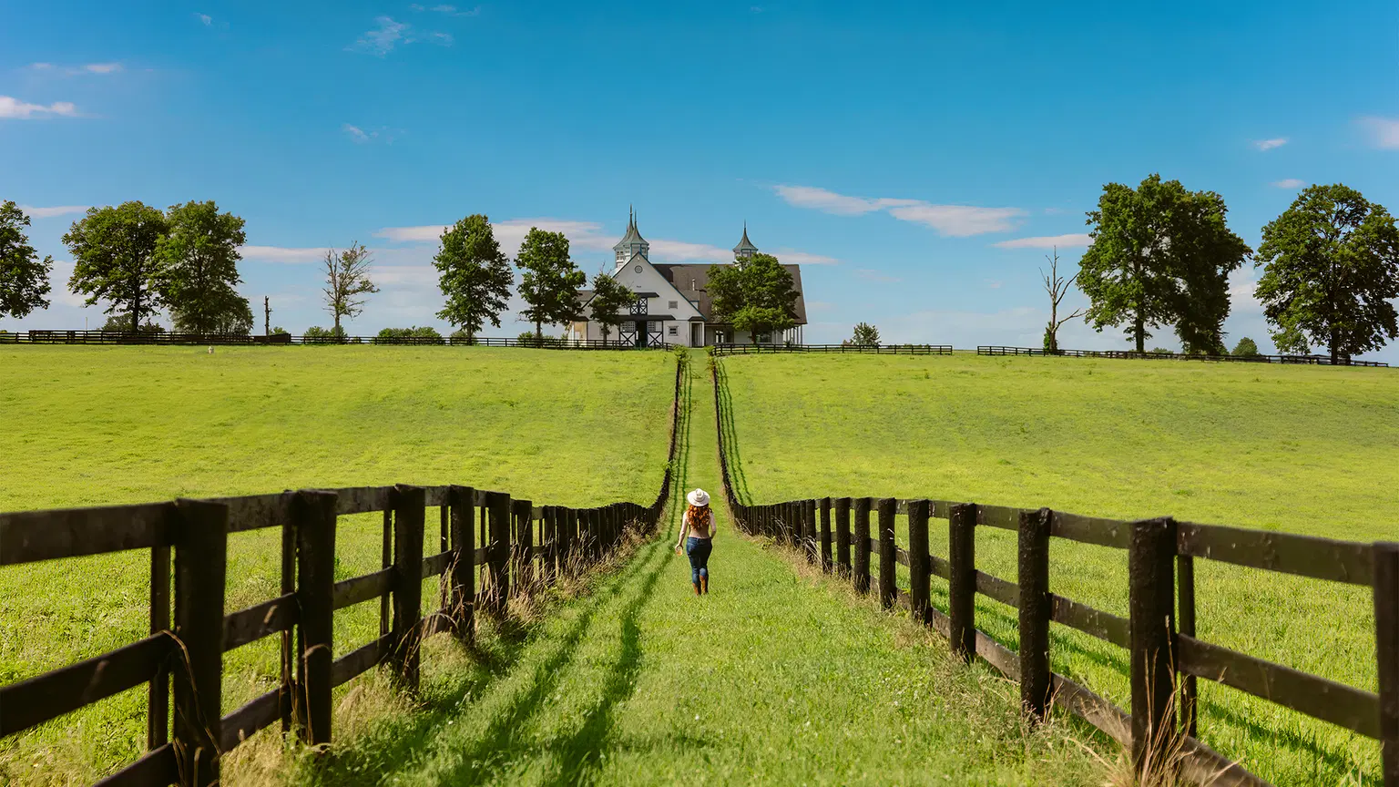 Handpicked USA Experiences