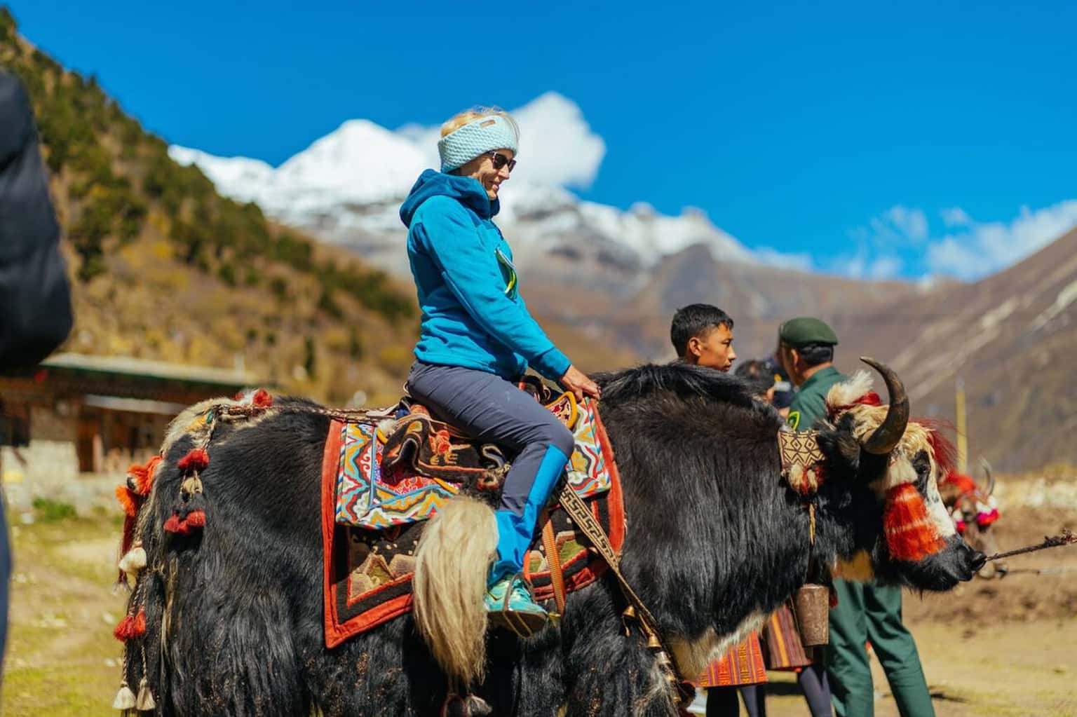 Yak Ride In Manali at Solang Valley