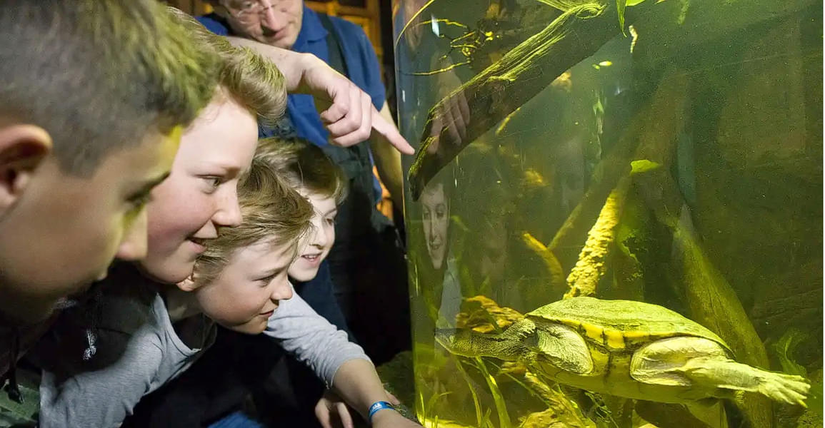 Let your kids get fascinated as they watch various amazing marine animals