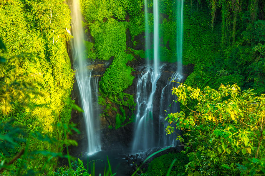 Sekumpul Waterfall Tour Image