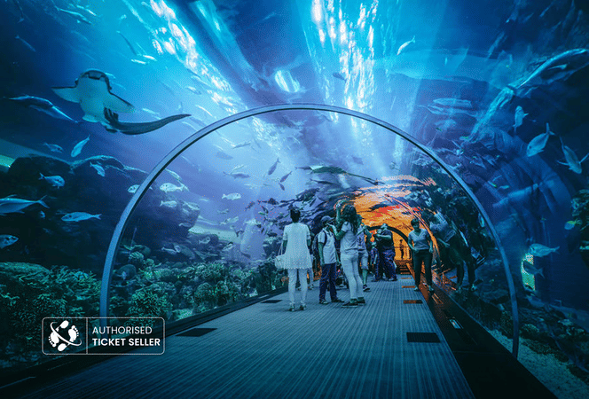 Welcome to Dubai Aquarium & Underwater Zoo