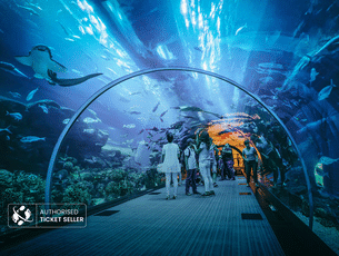 Dubai Aquarium & Underwater Zoo Tickets