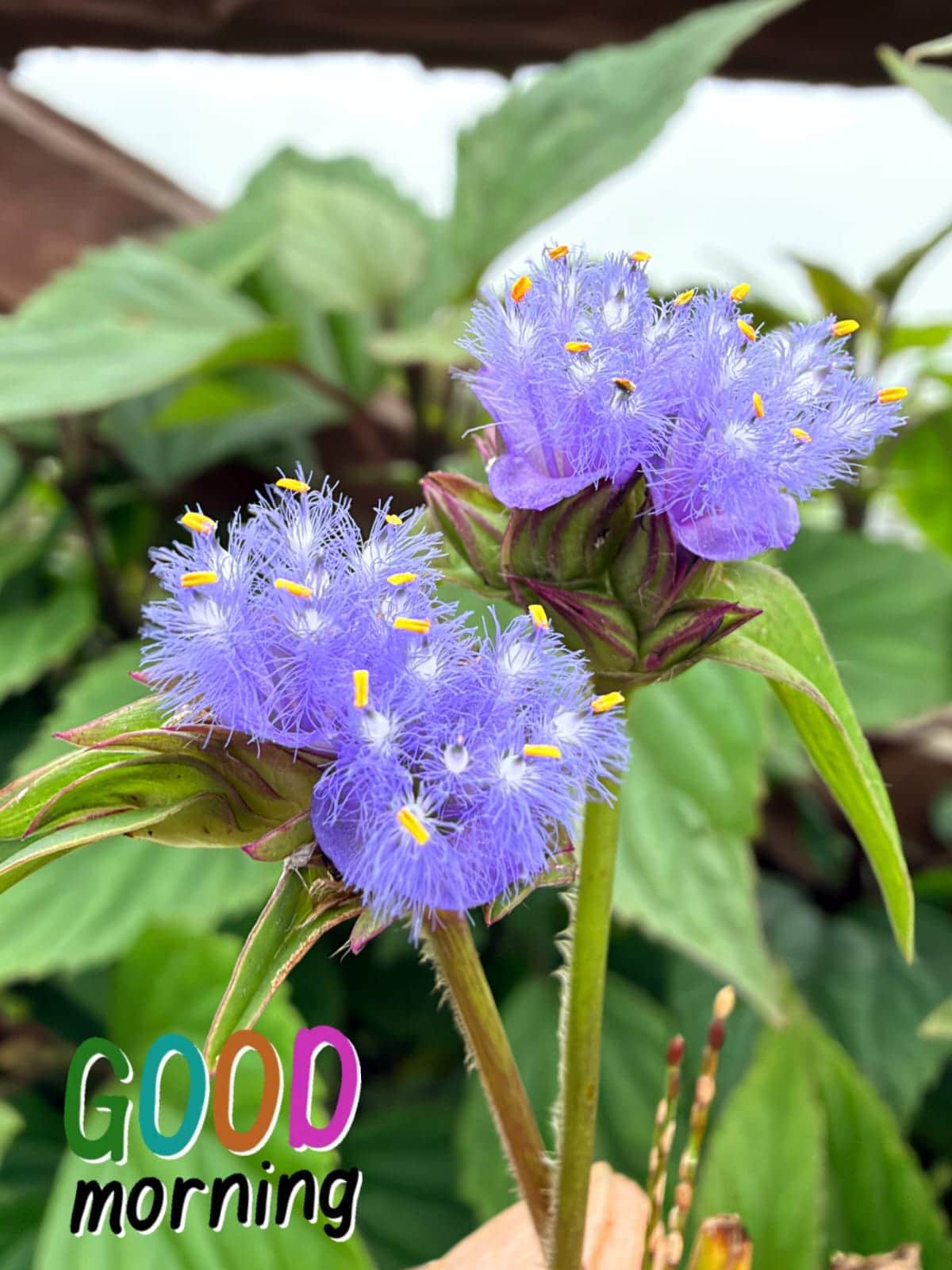 Photo from Srinivasan  Varadarajan's trip