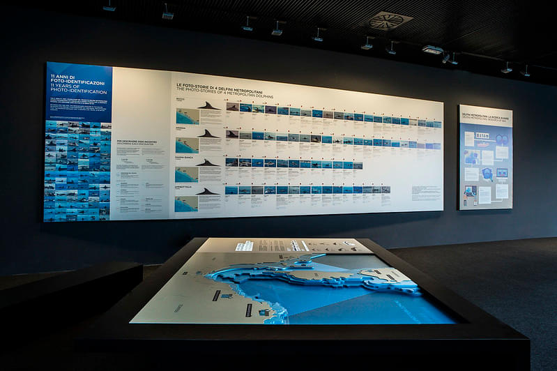Engage with Interactive Displays