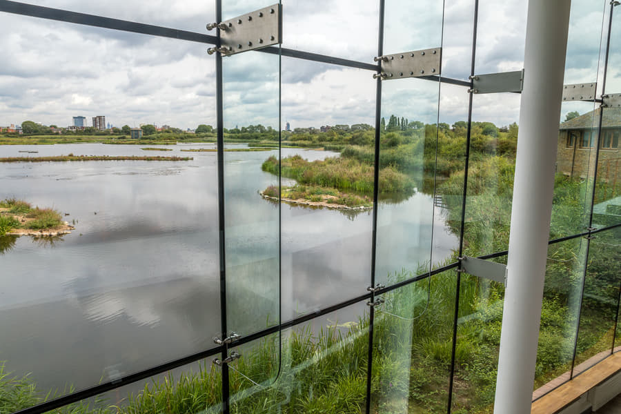WWT London Wetland Centre Tickets Image