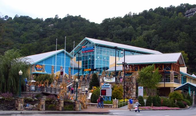 Ripley's Aquarium Of The Smokies, Tennessee