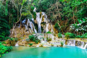 Ctl7orphga7e1ee1ed02lgrohrkc shutterstock 2246268719