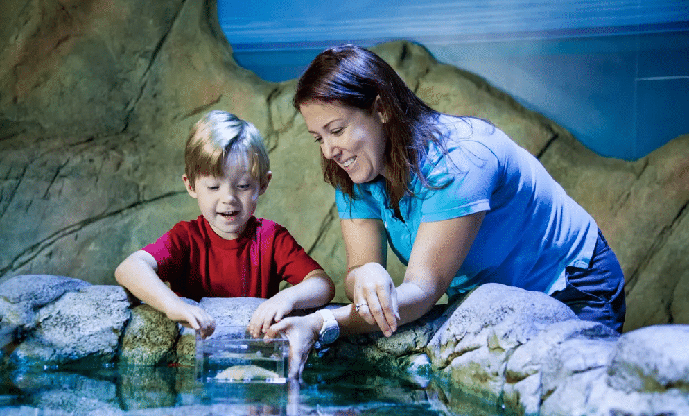 Get an immersive and personal experience with spectacular marine creatures along with your kids