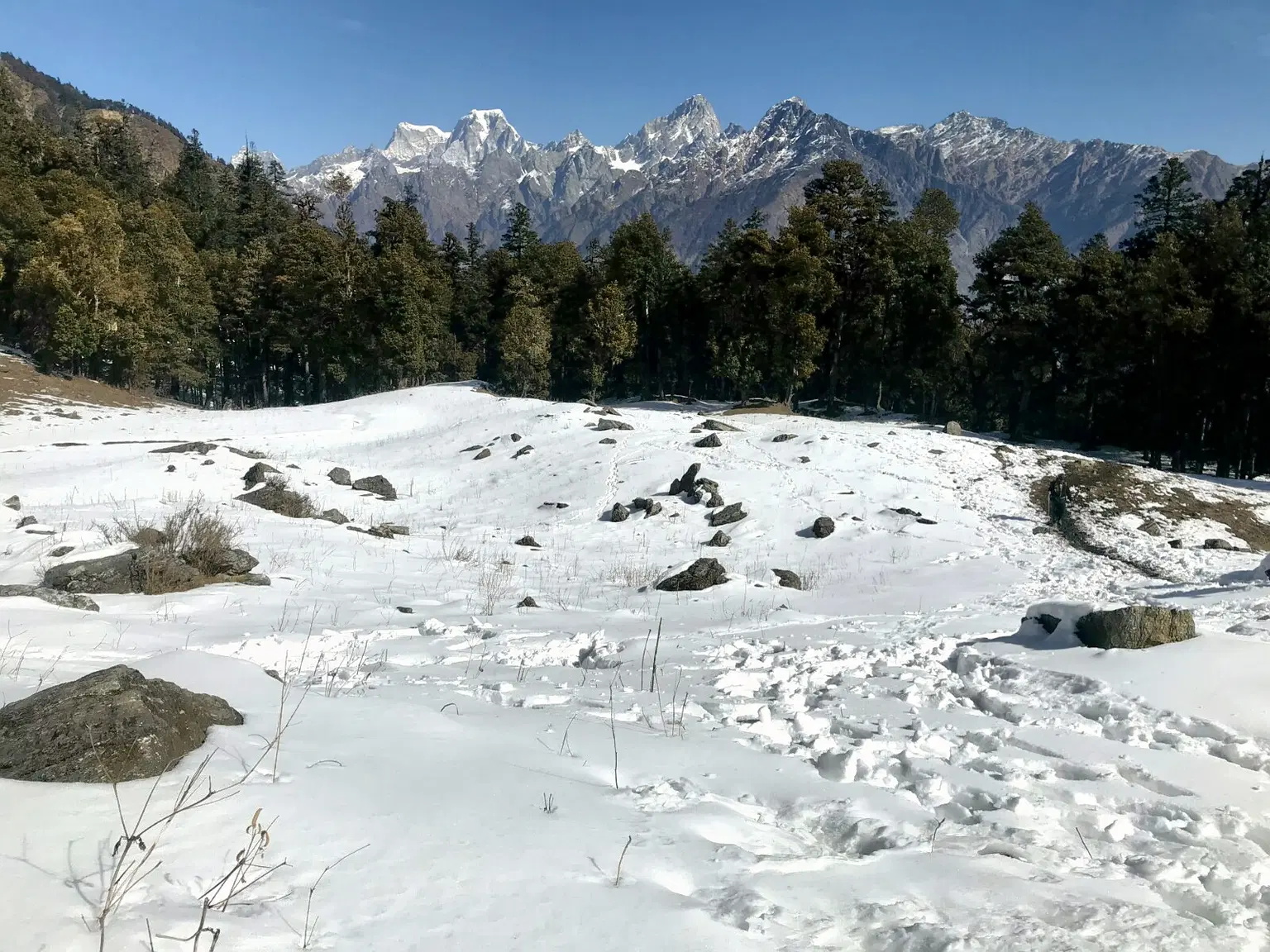 Photo from Taneja Ankisetty's trip