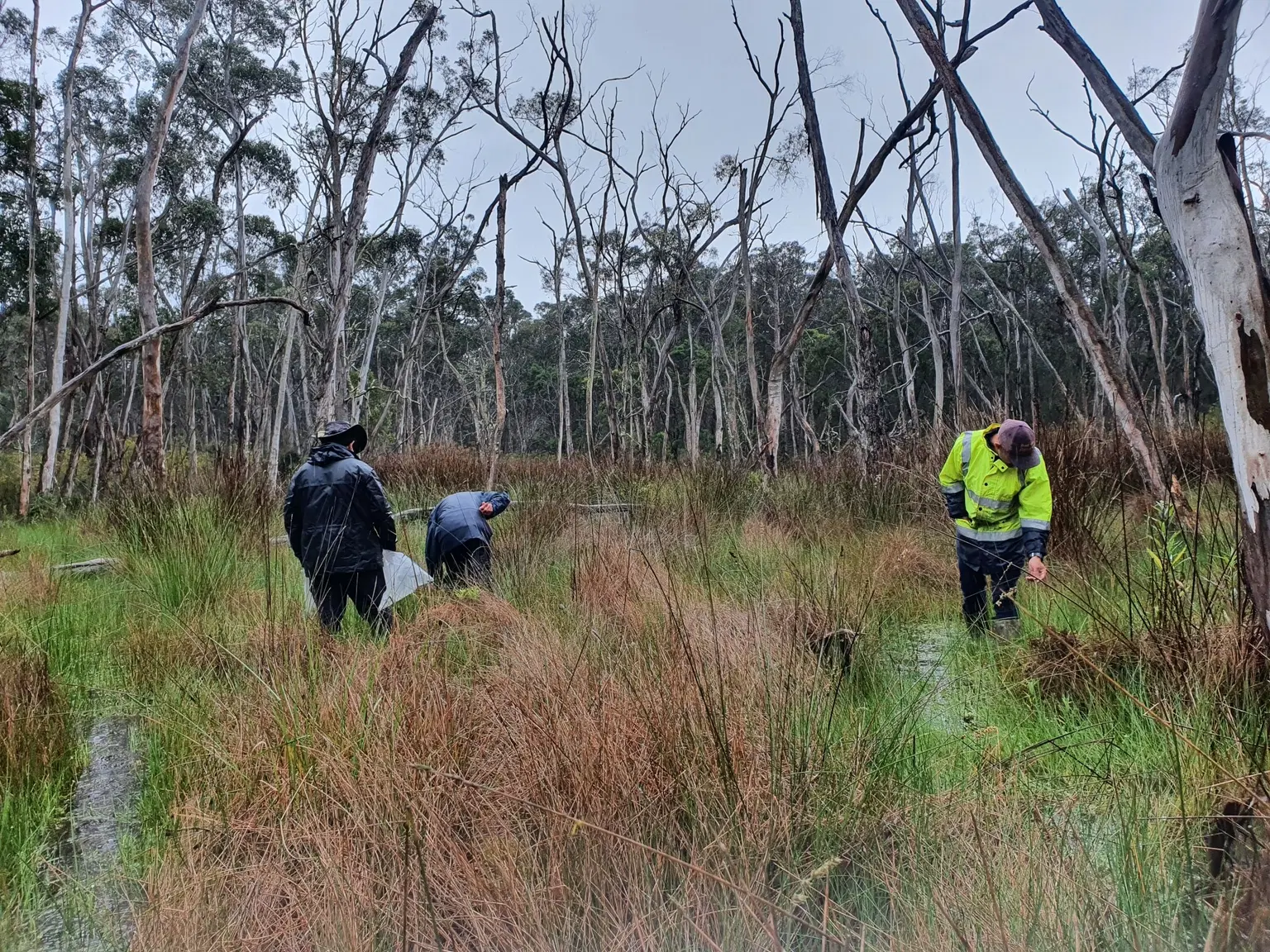 Aboriginal Heritage Walk