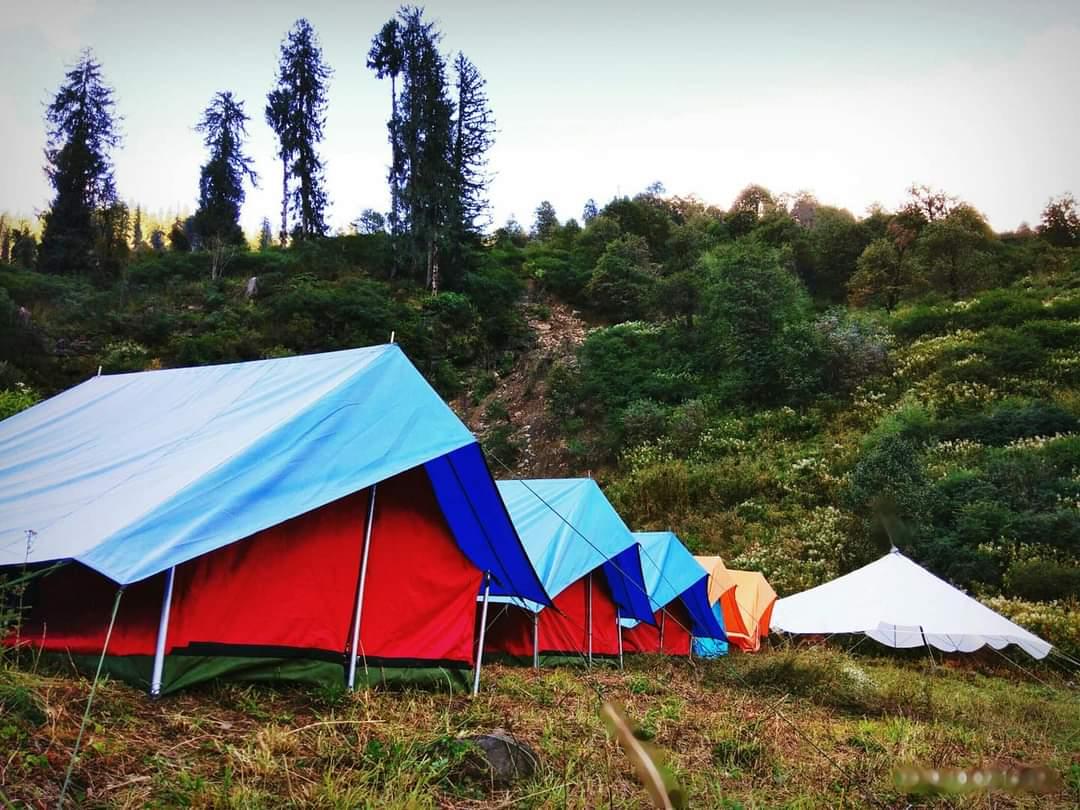 Visit the beautiful campsite in Solang Valley in Manali