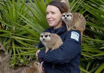 Ballarat Wildlife