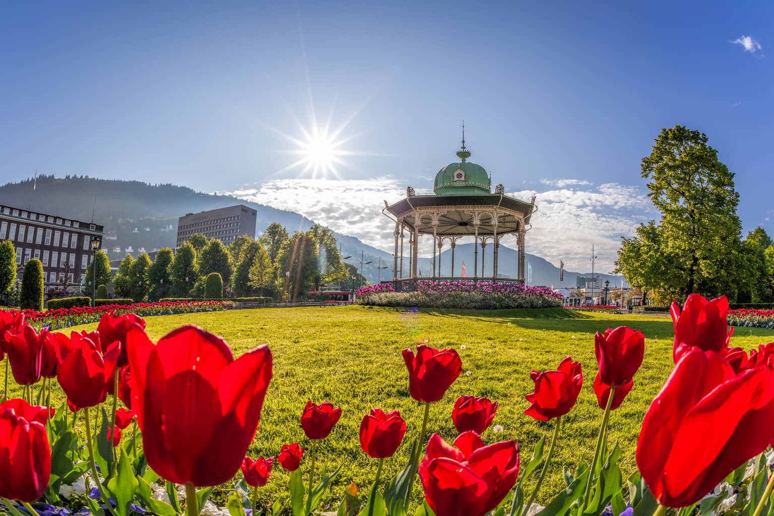 Things to do in <em>Bergen</em>