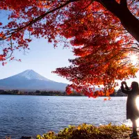 japan-timeless-treasures