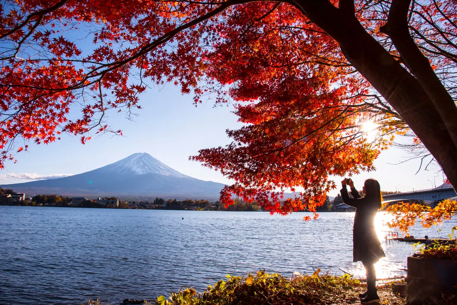 Wonders of Japan | A Journey Through Timeless Sights