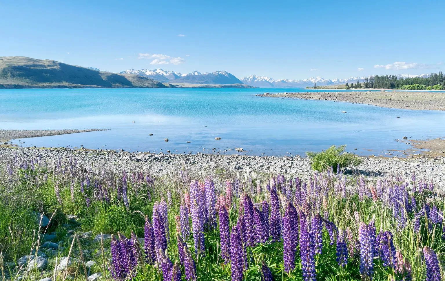 Lake Tekapo, <em>New Zealand</em>