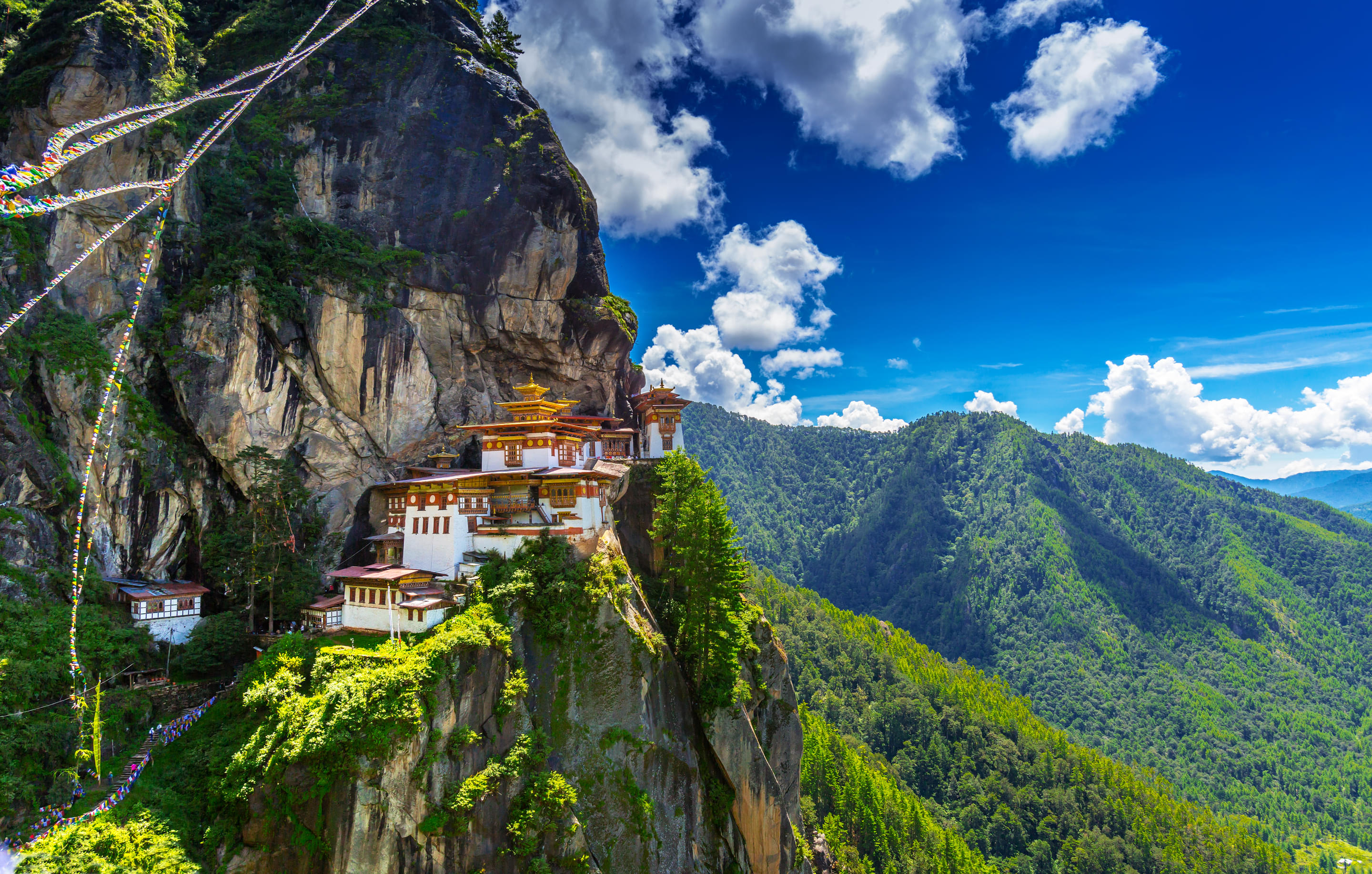 Paro Tour Packages | Upto 50% Off May Mega SALE