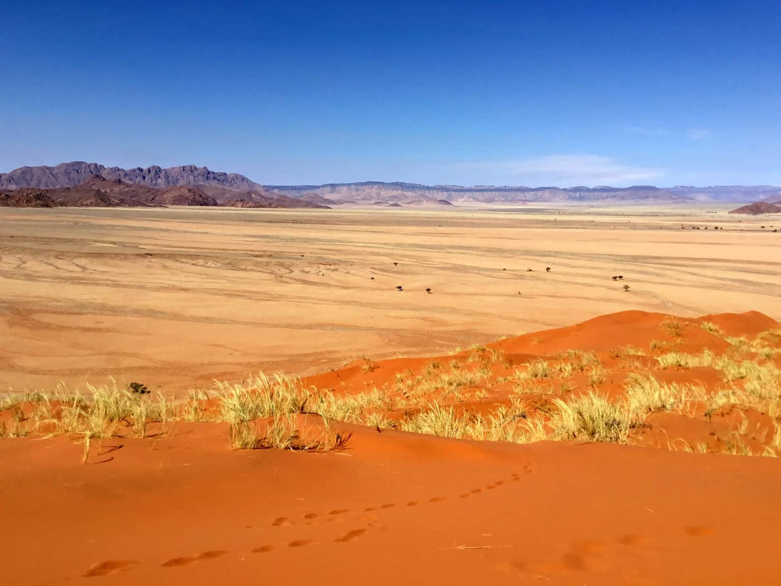 Elim Dune, <em>Namibia</em>