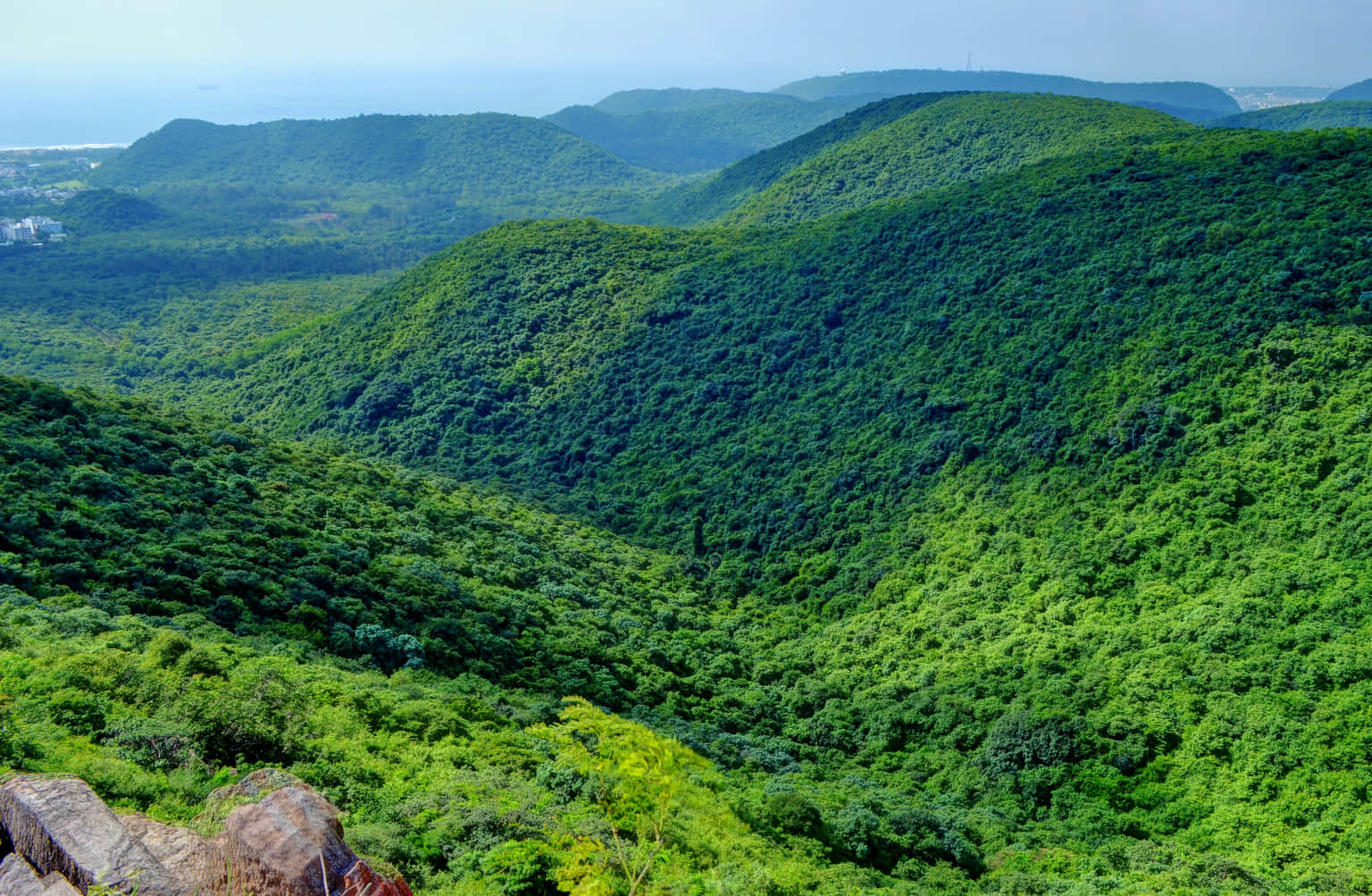 Kambalakonda Wildlife Sanctuary, <em>Visakhapatnam</em>