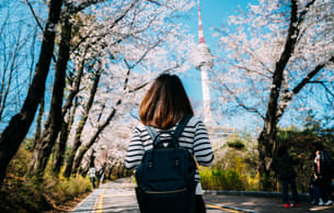 Marvel at the stunning beauty of the N Seoul Tower