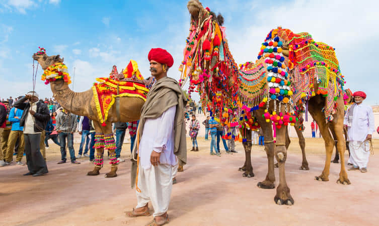 Bikaner Camel Festival, <em>Bikaner</em>