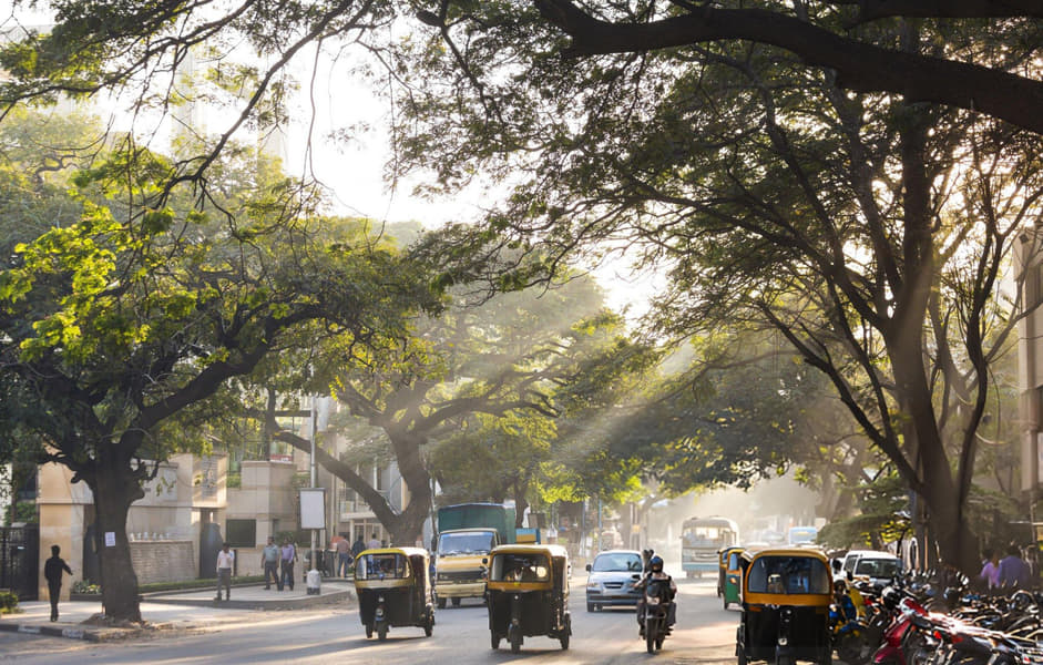 Car Rental in Bangalore Image