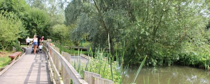 natures area of Colchester Zoo