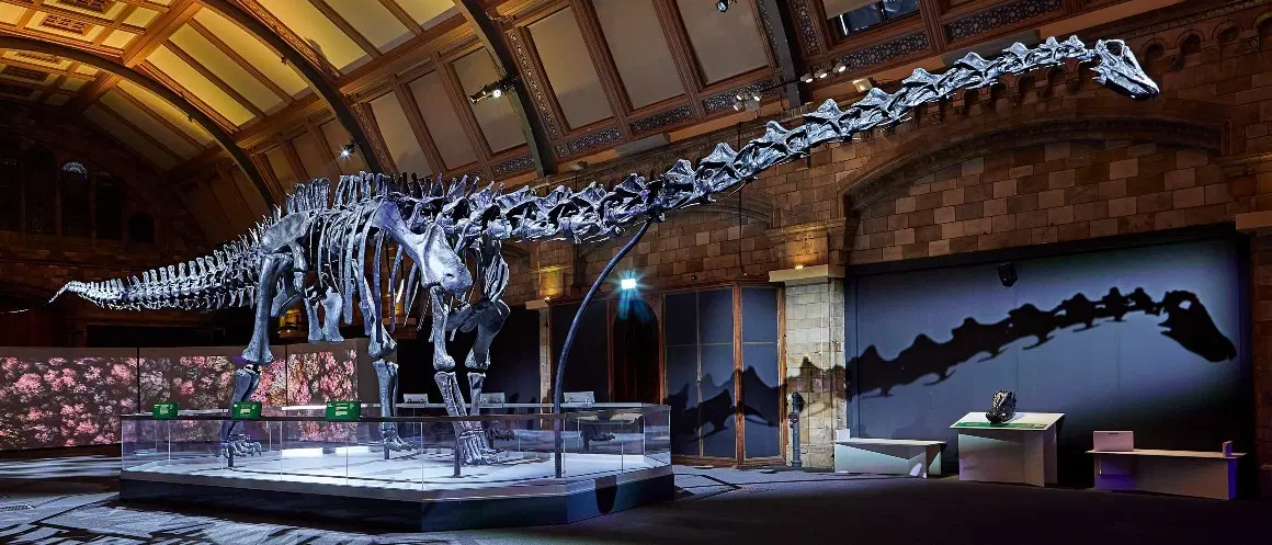 Natural History Museum