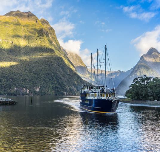Take in the scenic views on the Milford Cruise