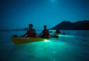 Night Kayaking in Havelock, Andaman (Bioluminescence)