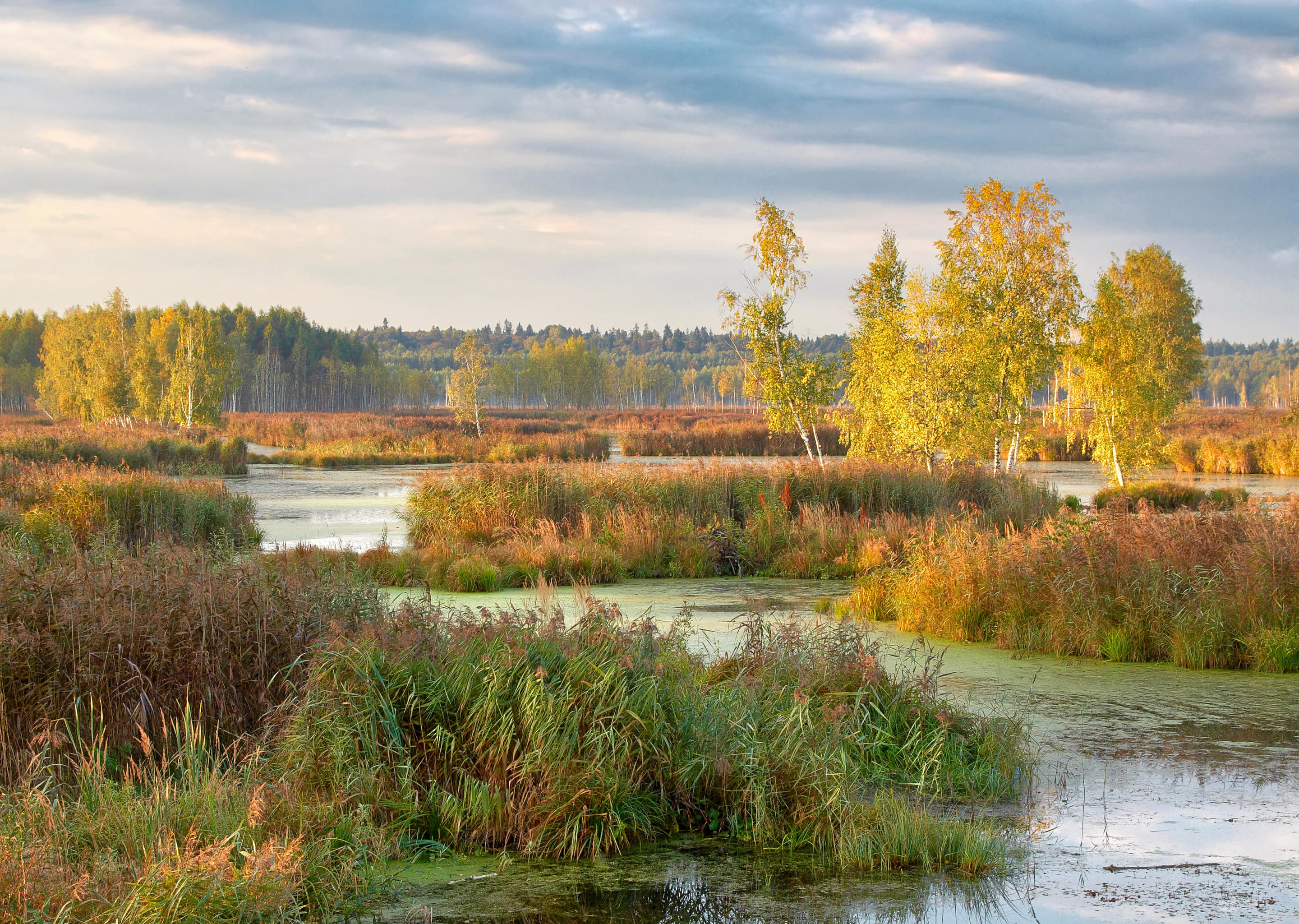 Losiny Ostrov National Park Overview