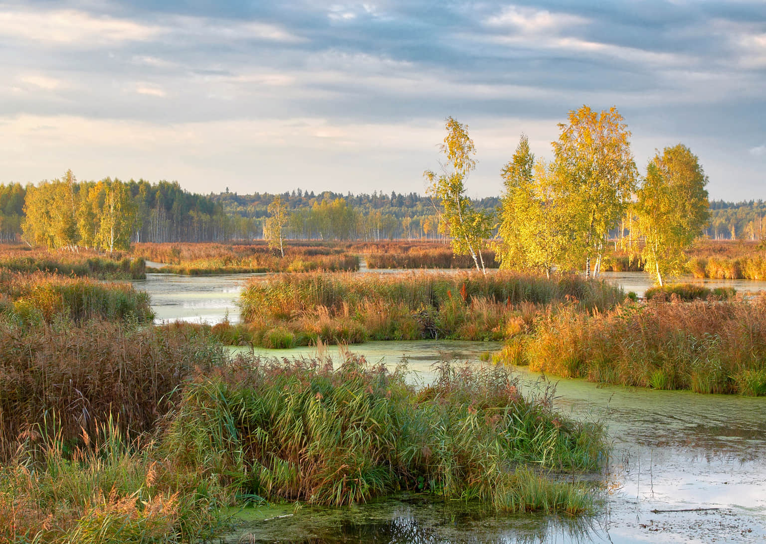 Losiny Ostrov National Park, <em>Moscow</em>