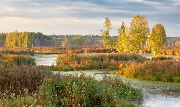 Losiny Ostrov National Park