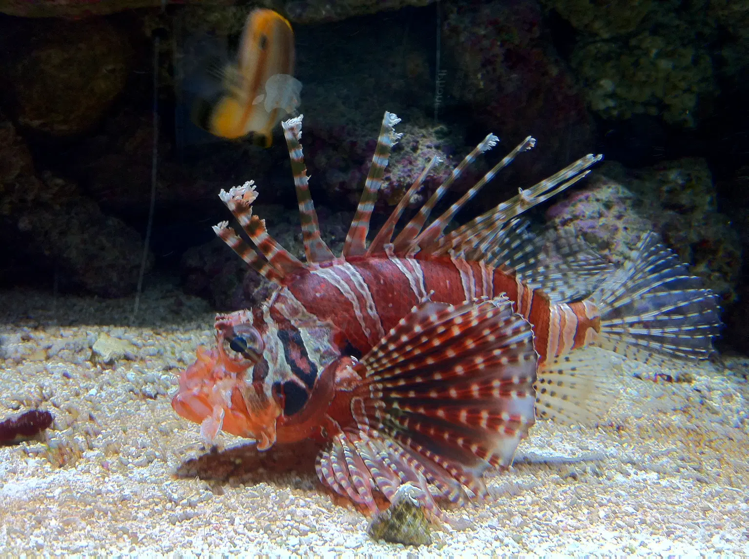 Bergen Aquarium
