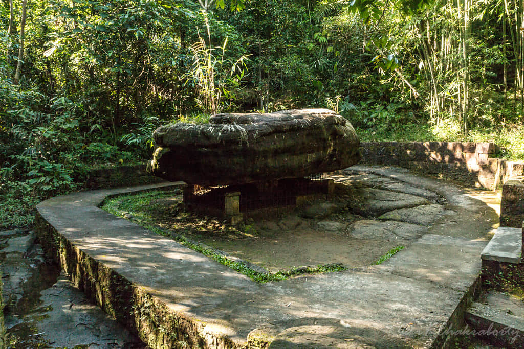 Stay at Homestay & Learn About the Local Culture