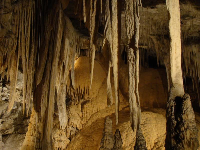 Day Trip to Limestone Caves at Baratang Island Image