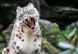 Central Park Zoo Tickets, New York