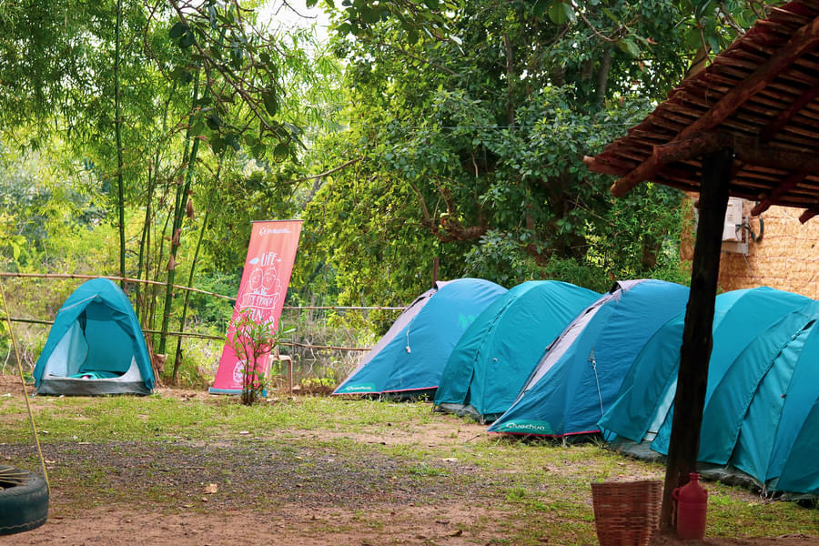 Overnight Camping With Activities At Pench Image