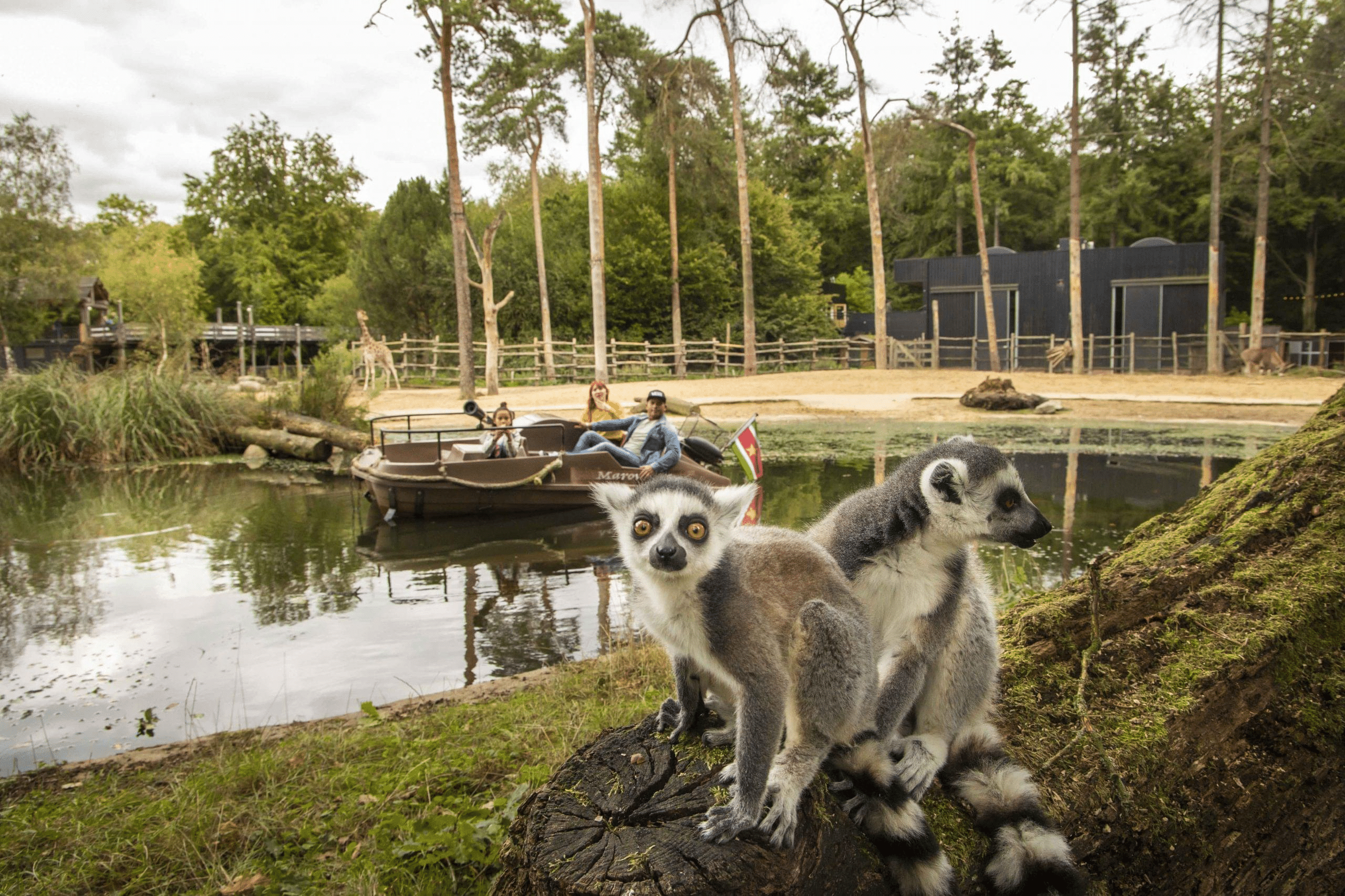 DierenPark Amersfoort Overview