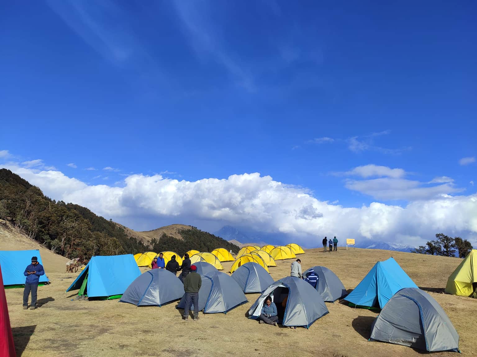Photo from praveen singh's trip